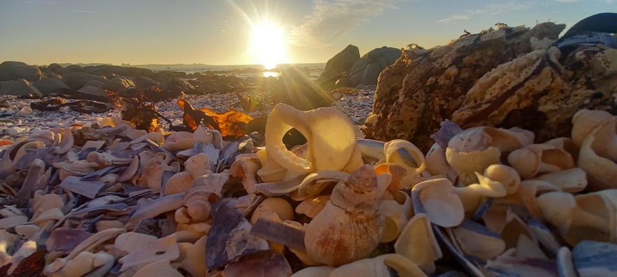 0 Bedroom Property for Sale in Steenbergs Cove Western Cape